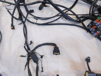 2008 Harley Davidson Screamin Eagle CVO Electra Glide Main Wire Wiring Harness - C3 Cycle