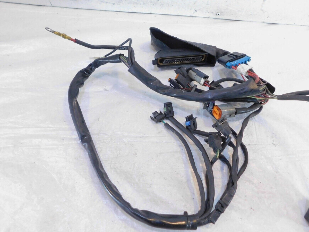 Harley Davidson Electra Glide Classic & Ultra Classic Fuel Injection EFI Harness - C3 Cycle