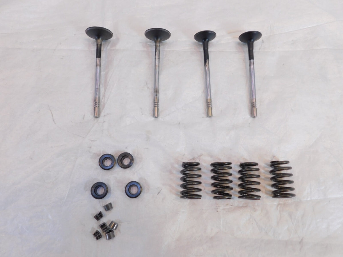 Victory Vision Kingpin & Vegas Exhaust & Intake Valves w/ Springs & Retainers - C3 Cycle