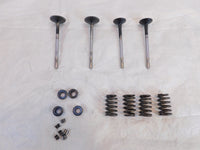 Victory Vision Kingpin & Vegas Exhaust & Intake Valves w/ Springs & Retainers - C3 Cycle