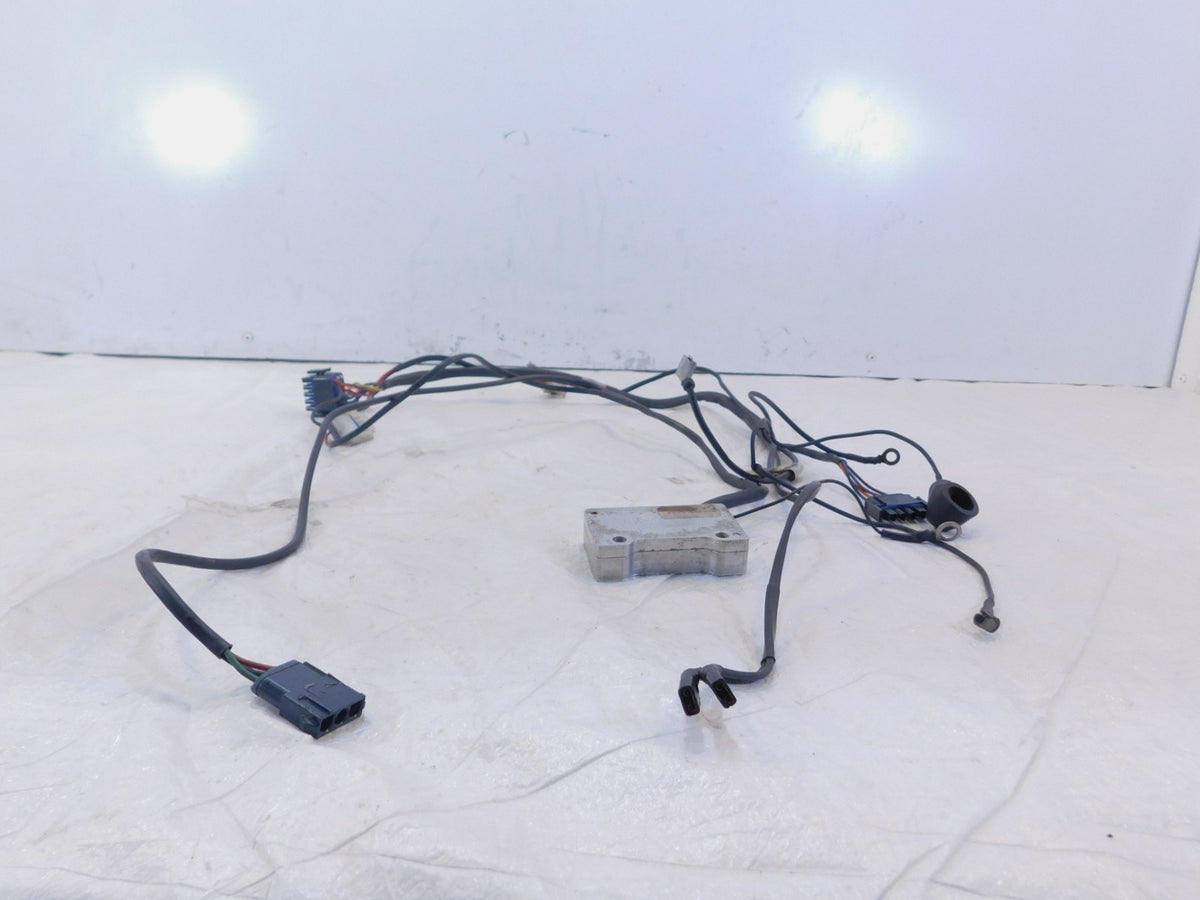 2002-2003 Indian Gilroy Scout Spirit Engine Wire Wiring Harness Ignition Module - C3 Cycle