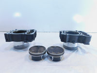 2015-2022 Indian Scout 1200 Bobber & Rogue Engine Motor Cylinders Jugs & Pistons - C3 Cycle