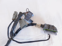 2004 2005 Harley Davidson Road King & Electra Glide EFI ECM Wire Wiring Harness - C3 Cycle