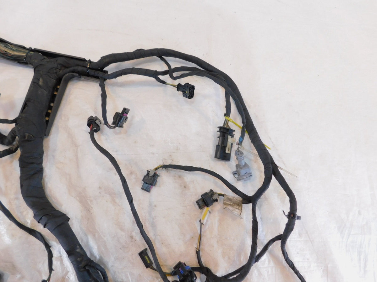 Harley Davidson Pan America RA1250 1250 1250S Engine Wire Wiring Harness Loom - C3 Cycle