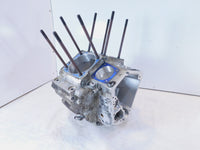 Indian Gilroy 99-01 Chief 02-03 Scout Spirit S&S Engine Motor Crankcase Cases - C3 Cycle