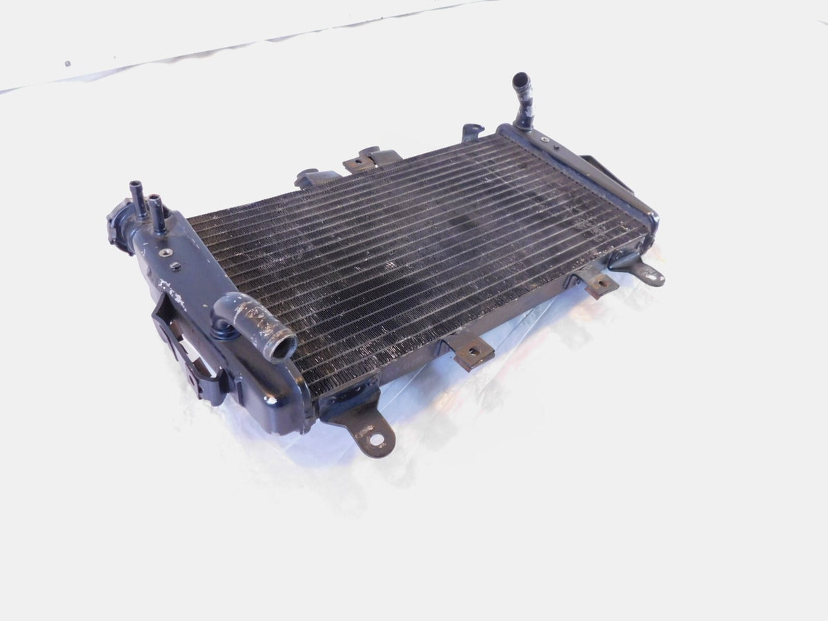 2007 2008 2009 2010 2011 2012 Triumph Tiger 1050 Engine Motor Cooling Radiator - C3 Cycle