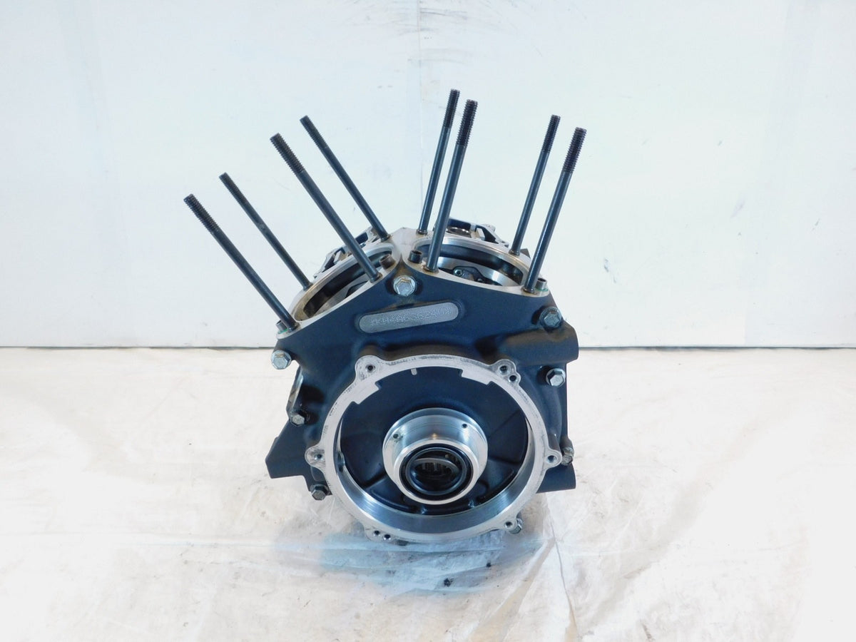 Harley Davidson Road King Street & Electra Glide & Dyna Engine Motor Crank Cases - C3 Cycle