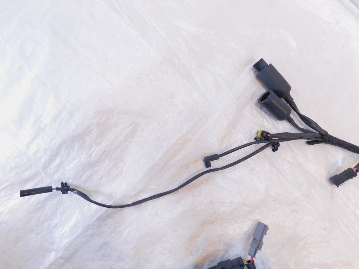 2009 09 Harley Davidson Sportster 883 & 1200 Main Wire Wiring Harness - No Key