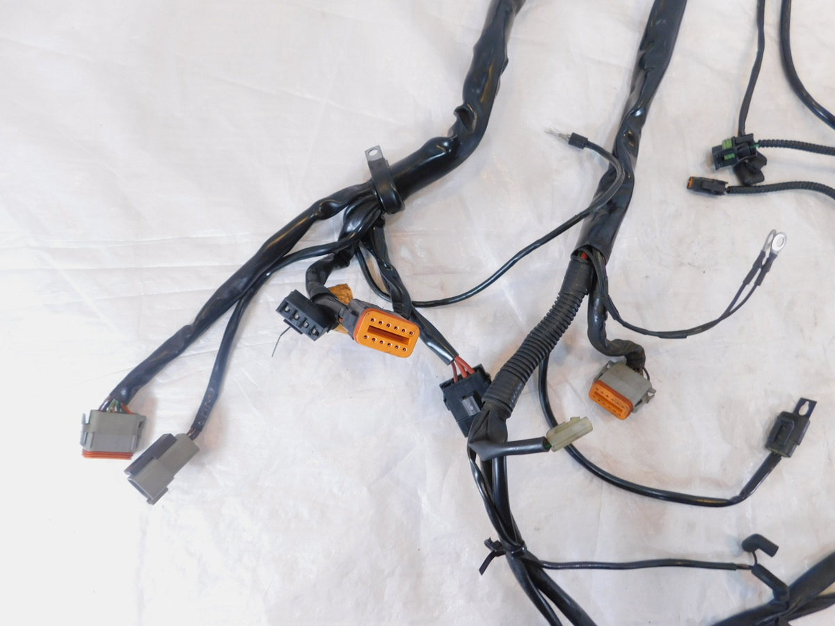 2004 Harley Davidson Touring Road & Electra Glide Main Wiring Wire Harness Loom - C3 Cycle