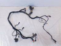 1999-2003 Harley Davidson EVO Sportster 883 1200 Main Wiring Turn Signal Harness - C3 Cycle