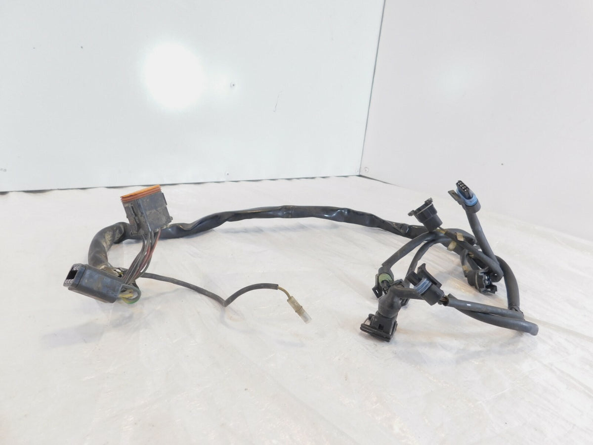 Harley Touring Electra Glide Road King Fuel Injection Throttle Wiring Harness