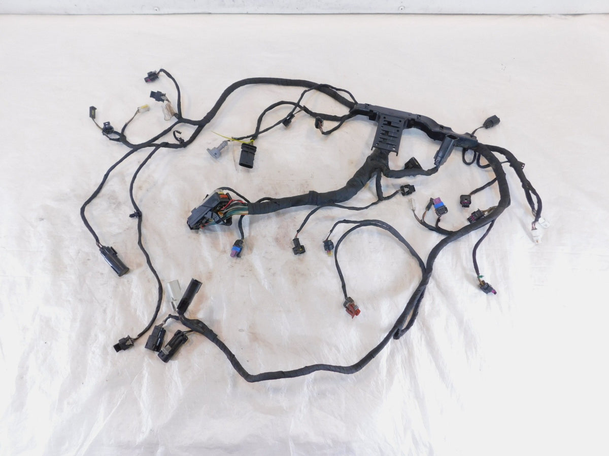 Harley Davidson Pan America RA1250 1250 1250S Engine Wire Wiring Harness Loom - C3 Cycle