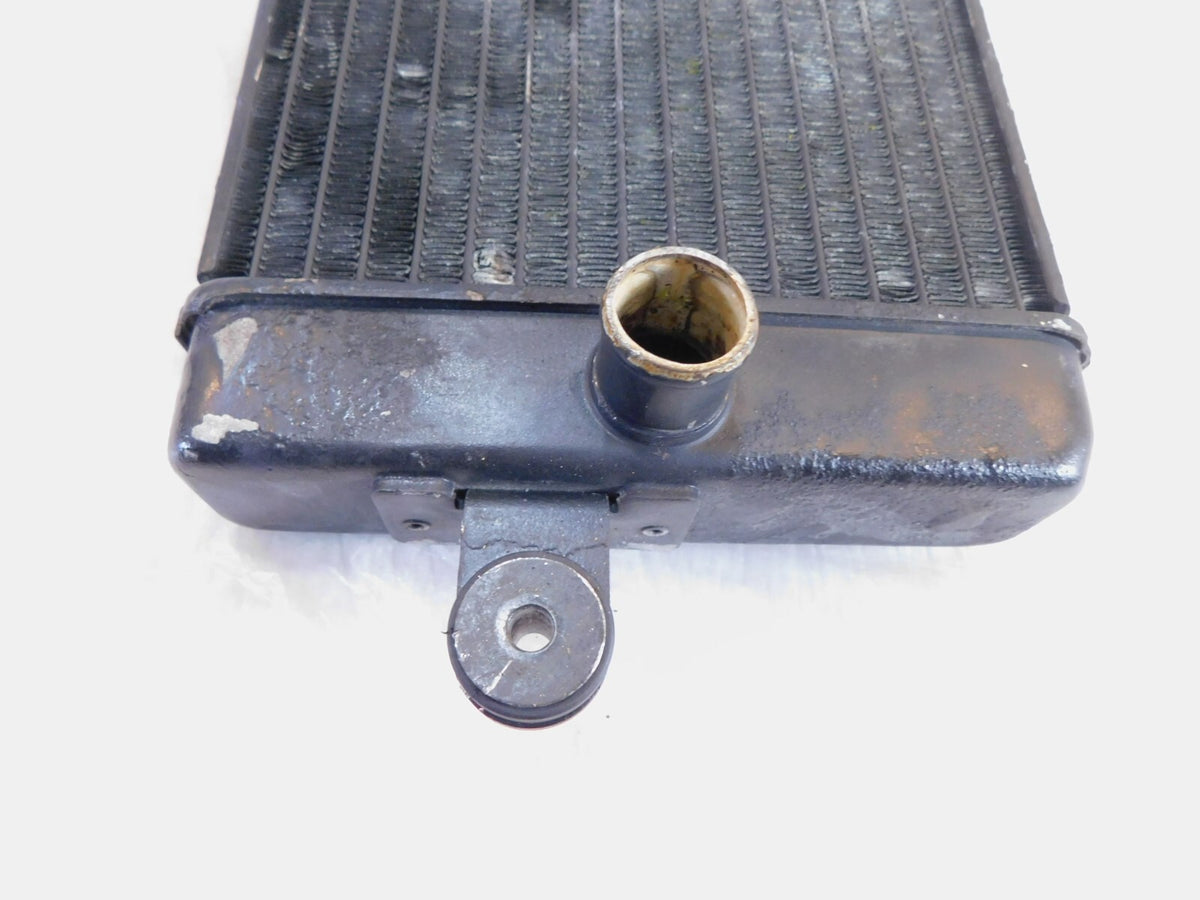Honda VT750 VT750C Shadow 750 ACE Deluxe & Spirit Front Engine Coolant Radiator - C3 Cycle