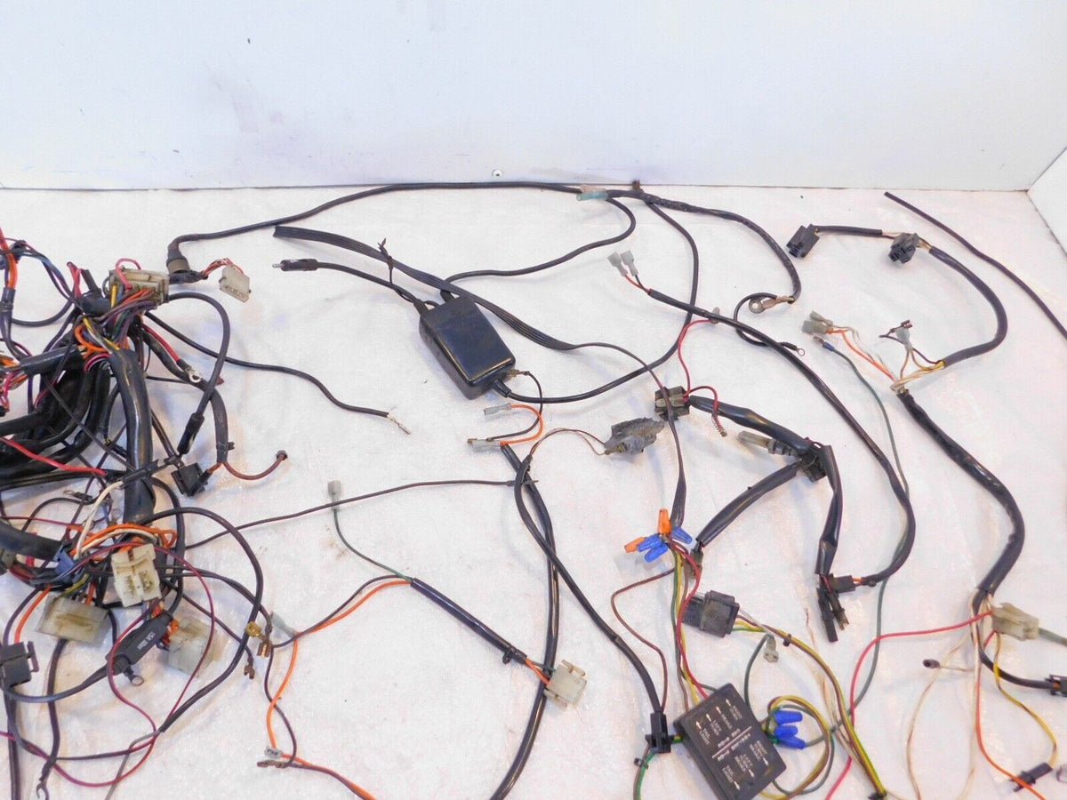 Harley Davidson Touring Electra Glide Classic Main Wire Wiring Harness Loom Lot - C3 Cycle