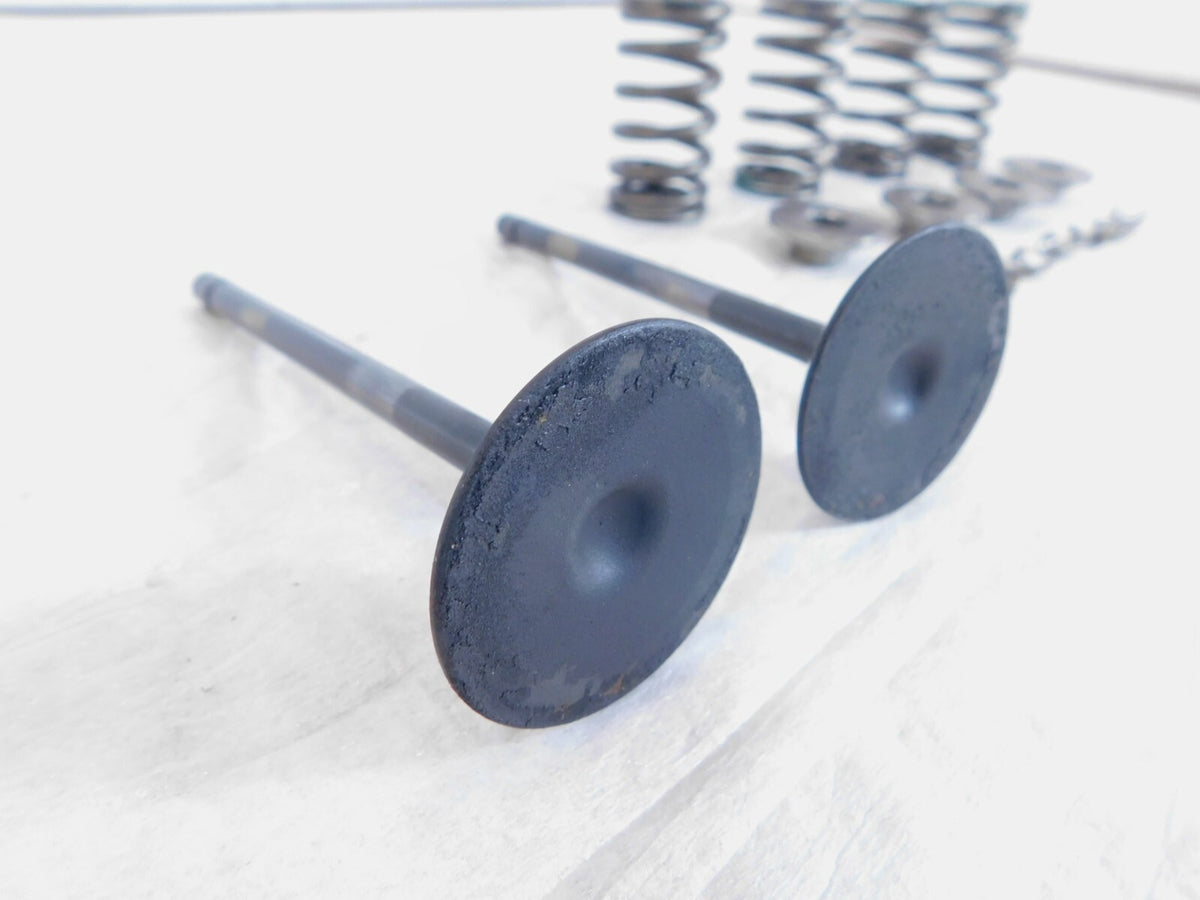 2020-2022 Indian Challenger Limited Dark Horse Intake & Exhaust Valves & Springs - C3 Cycle
