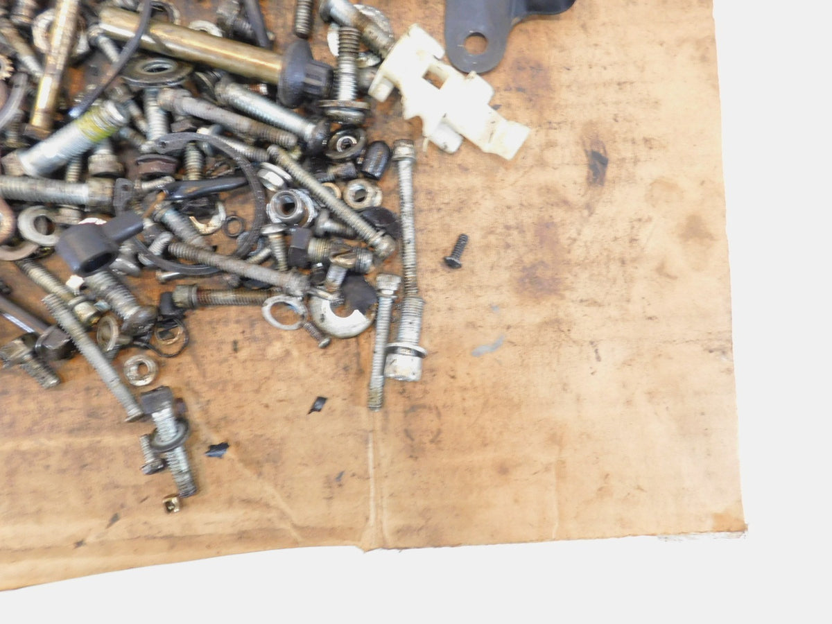 Harley Davidson Sportster XL1200 Custom Engine Nuts Bolts Brackets Parts Box Lot - C3 Cycle