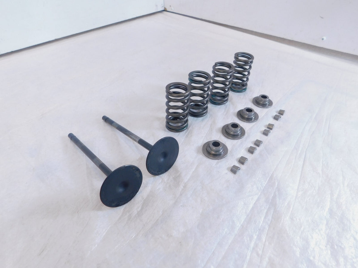2020-2022 Indian Challenger Limited Dark Horse Intake & Exhaust Valves & Springs - C3 Cycle