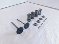 2020-2022 Indian Challenger Limited Dark Horse Intake & Exhaust Valves & Springs - C3 Cycle