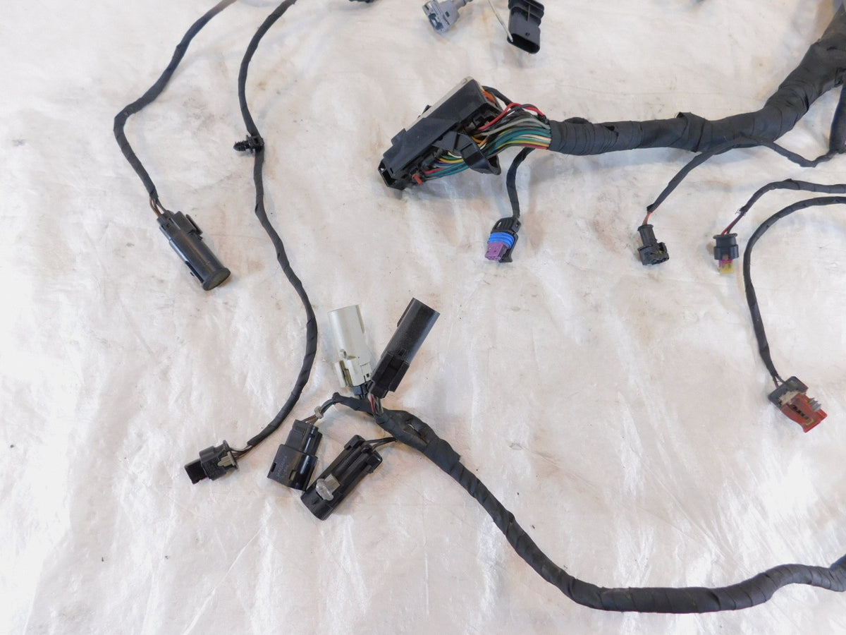 Harley Davidson Pan America RA1250 1250 1250S Engine Wire Wiring Harness Loom - C3 Cycle