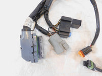 2004 2005 Harley Davidson Road King & Electra Glide EFI ECM Wire Wiring Harness - C3 Cycle