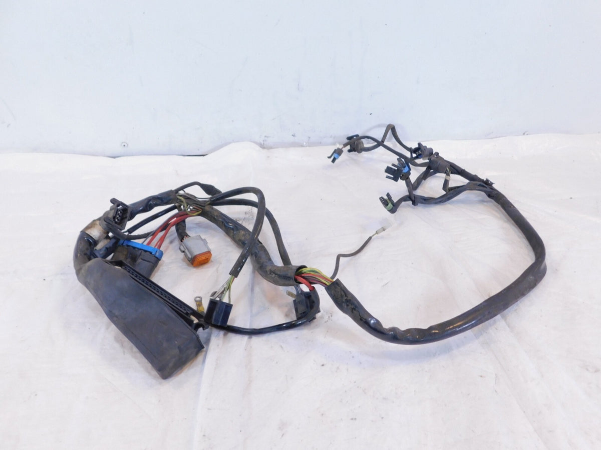 Harley Davidson Electra Glide Ultra Classic EFI Fuel Injection Wiring Harness - C3 Cycle