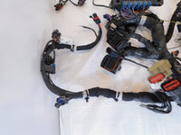 17 Indian Chief Chieftain Roadmaster & Springfield Main Wire Wiring Harness Loom - C3 Cycle
