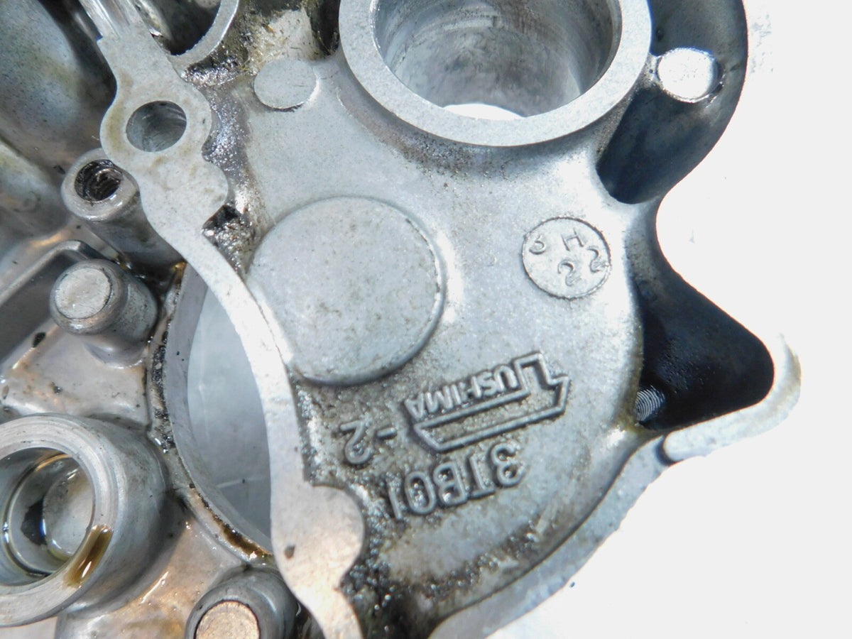 MZ Skorpion Tour MZ660 660 Left Engine Motor Stator Alternator Generator Cover