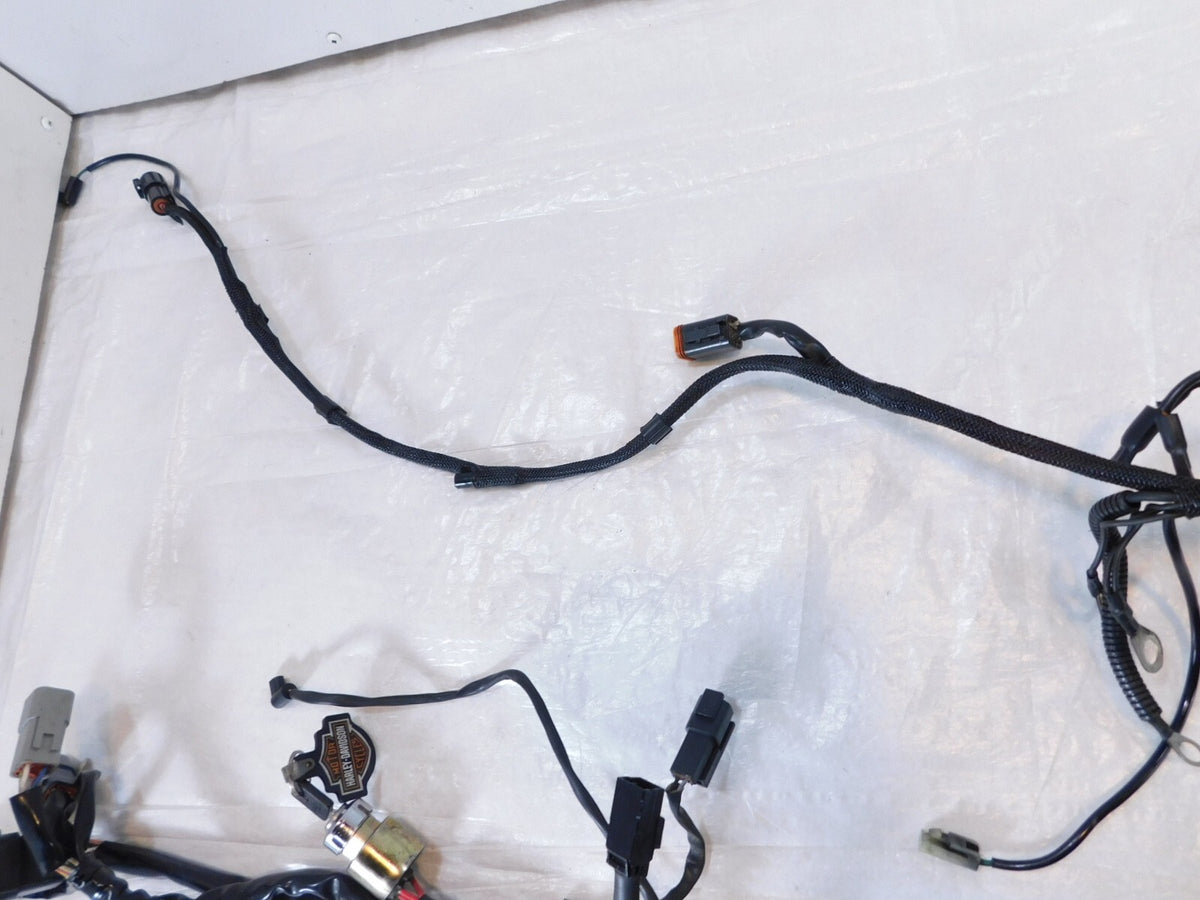 1999-2003 Harley Davidson EVO Sportster 883 1200 Main Wiring Turn Signal Harness - C3 Cycle