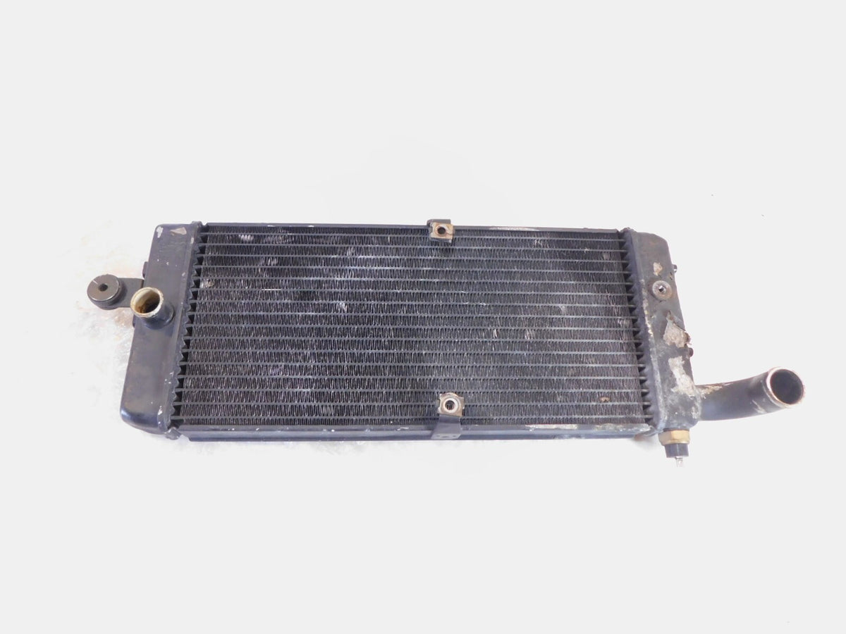 Honda VT750 VT750C Shadow 750 ACE Deluxe & Spirit Front Engine Coolant Radiator - C3 Cycle