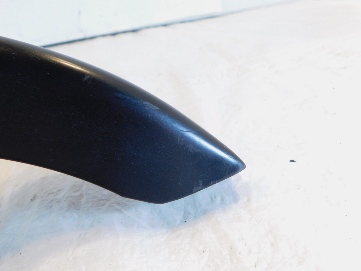 1998-2003 Triumph Thunderbird Sport 900 Black Rear Wheel Chain Debris Guard