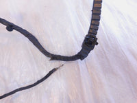 12-17 Harley Davidson Dyna Low Glide & Street Bob Main Wiring Wire Harness Loom - C3 Cycle