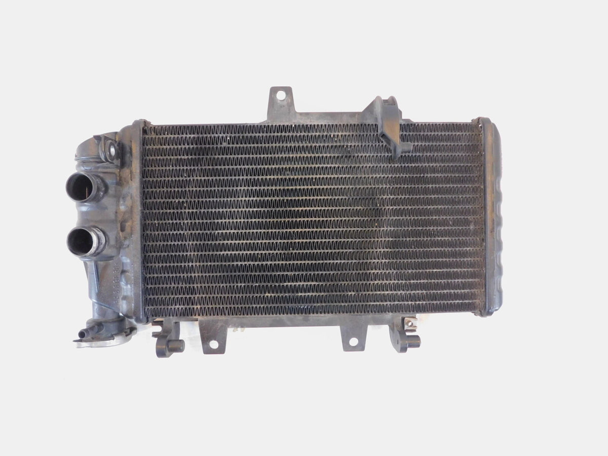 BMW F800 F800R F800S F800ST F700GS F650GS Engine Motor Water Cooling ...