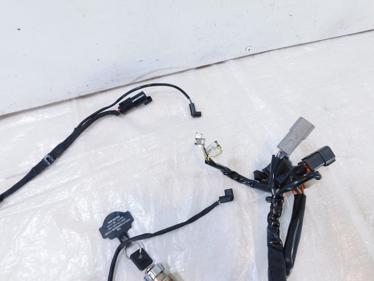 1999-2003 Harley Davidson EVO Sportster 883 1200 Main Wiring Turn Signal Harness - C3 Cycle