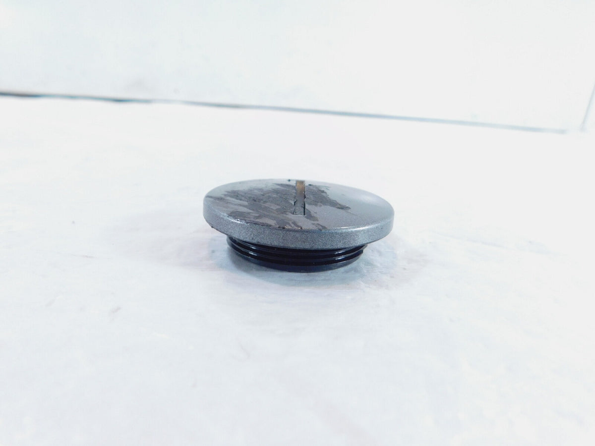 2002 MZ Skorpion Tour MZ660 660cc Left Engine Motor Generator Cover Screw Plug