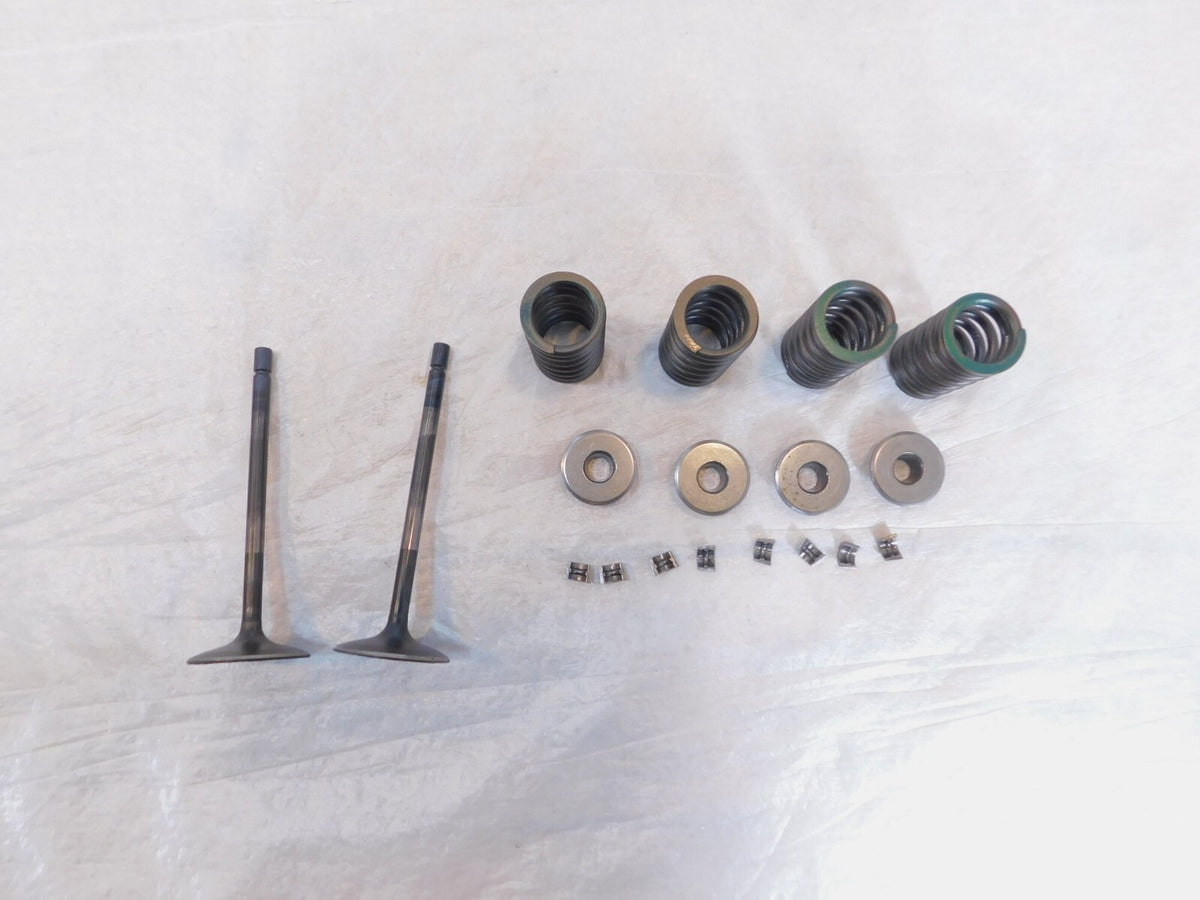 2020-2022 Indian Challenger Limited Dark Horse Intake & Exhaust Valves & Springs - C3 Cycle