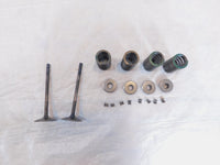 2020-2022 Indian Challenger Limited Dark Horse Intake & Exhaust Valves & Springs - C3 Cycle