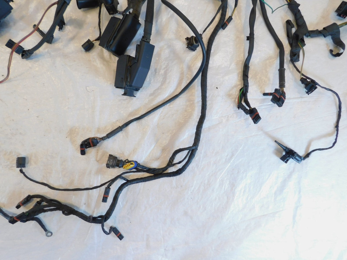 2011-2013 BMW R1200RT ESA Cruise Control Main Electric Wire Harness Wiring Loom - C3 Cycle