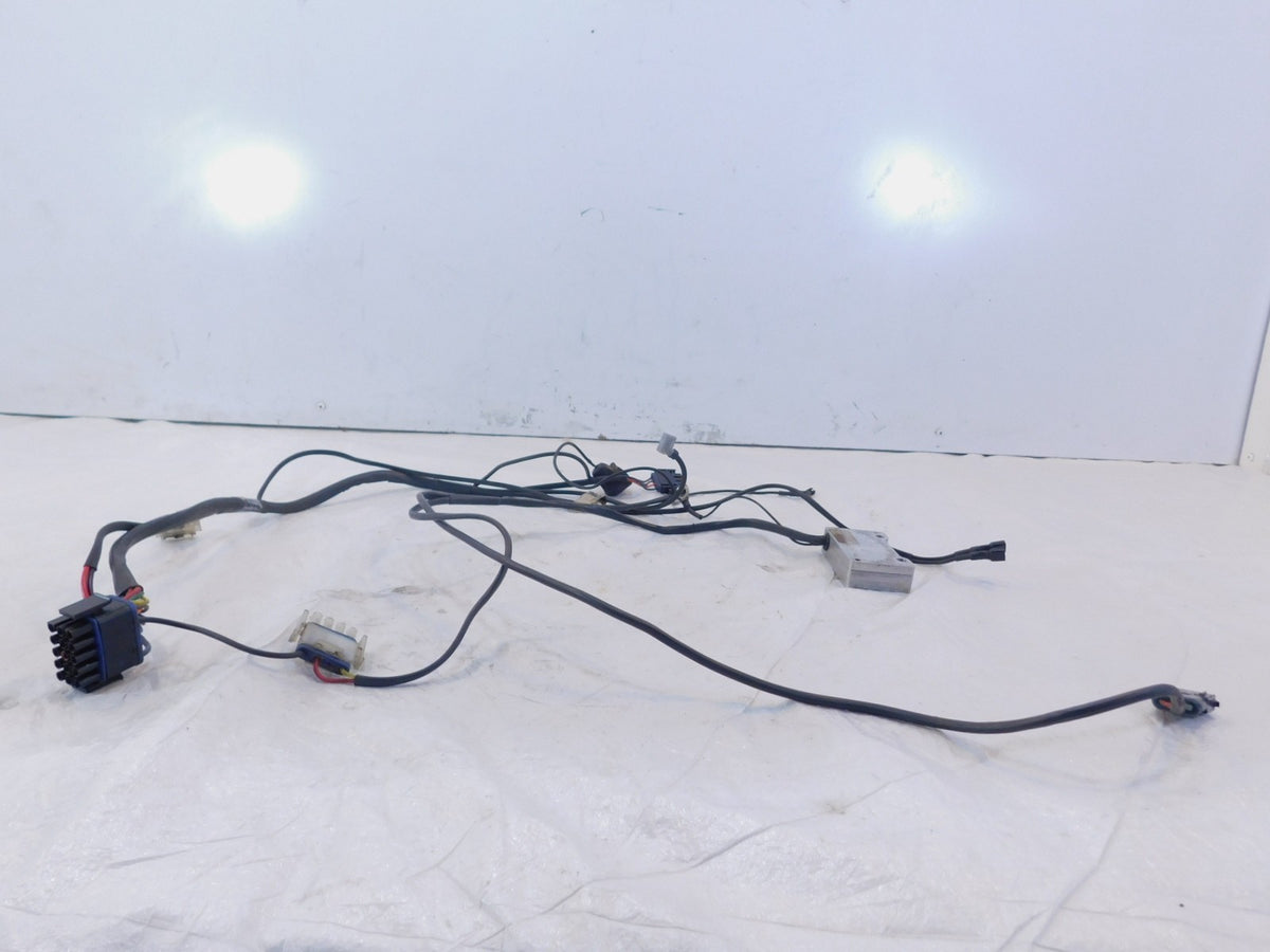 2002-2003 Indian Gilroy Scout Spirit Engine Wire Wiring Harness Ignition Module - C3 Cycle