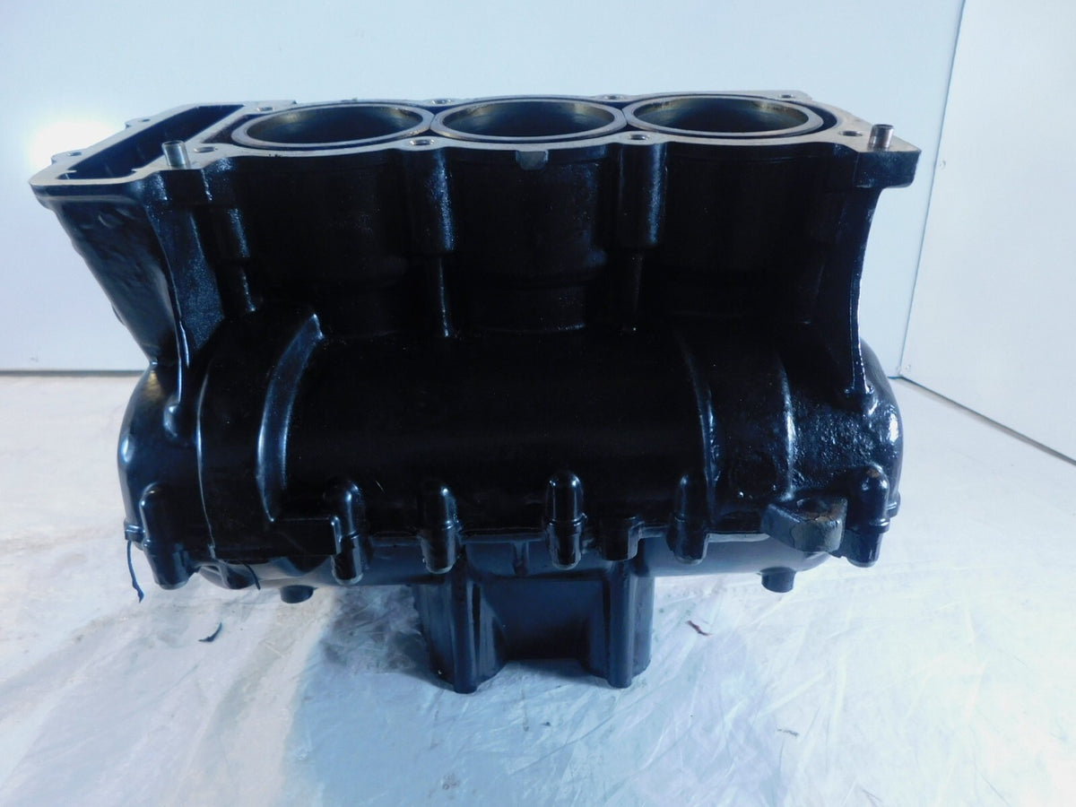 1999 2000 2001 Triumph Sprint ST 955 955i Engine Motor Block Crankcase Cylinders - C3 Cycle