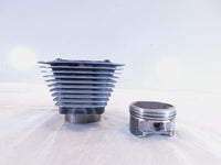 Harley Davidson Sportster 1200 48 Forty-Eight Engine Cylinders Barrel & Piston