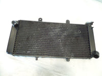 01-07 Aprilia ETV1000 Caponord 1000 Engine Motor Cooling Coolant Cooler Radiator