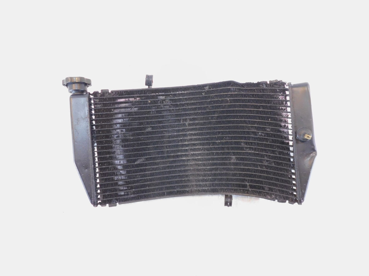 Honda CBR900RR CBR929RR FireBlade Engine Motor Water Cooling Coolant Radiator - C3 Cycle