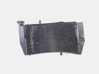 Honda CBR900RR CBR929RR FireBlade Engine Motor Water Cooling Coolant Radiator - C3 Cycle