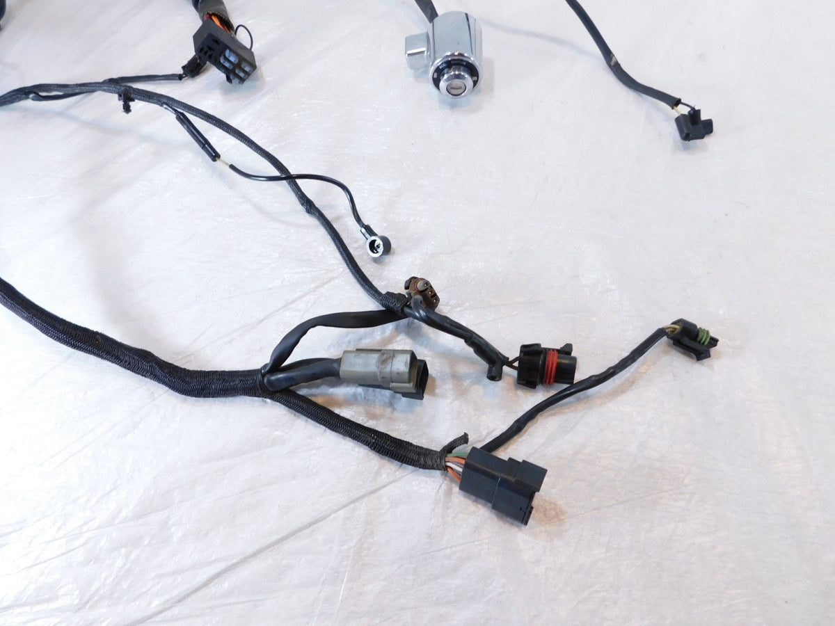 2005 Harley Sportster 883 & 1200 Wiring Wire Harness w/ Ignition Switch -No Key - C3 Cycle