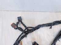 Harley Davidson Touring Road & Electra Glide Main & EFI Wiring Wire Harness Loom - C3 Cycle