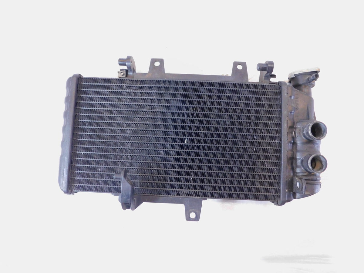 BMW F800 F800R F800S F800ST F700GS F650GS Engine Motor Water Cooling Radiator - C3 Cycle