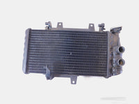 BMW F800 F800R F800S F800ST F700GS F650GS Engine Motor Water Cooling Radiator - C3 Cycle