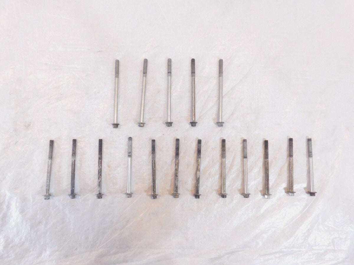 06 & 07 Victory Hammer Kingpin Jackpot Vegas Engine Motor Crankcase Bolts Lot - C3 Cycle