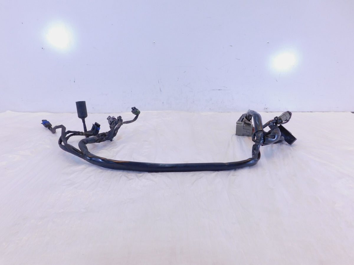 2004 2005 Harley Davidson Road King & Electra Glide EFI ECM Wire Wiring Harness - C3 Cycle