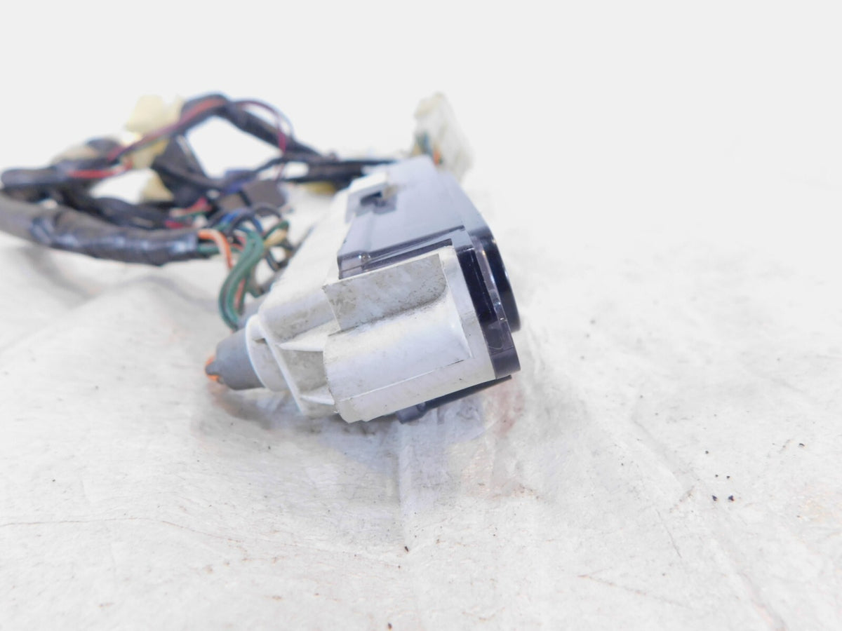 1999-2004 Triumph Sprint ST 955 955i Dash Pilot Indicator Lights & Wire Harness - C3 Cycle